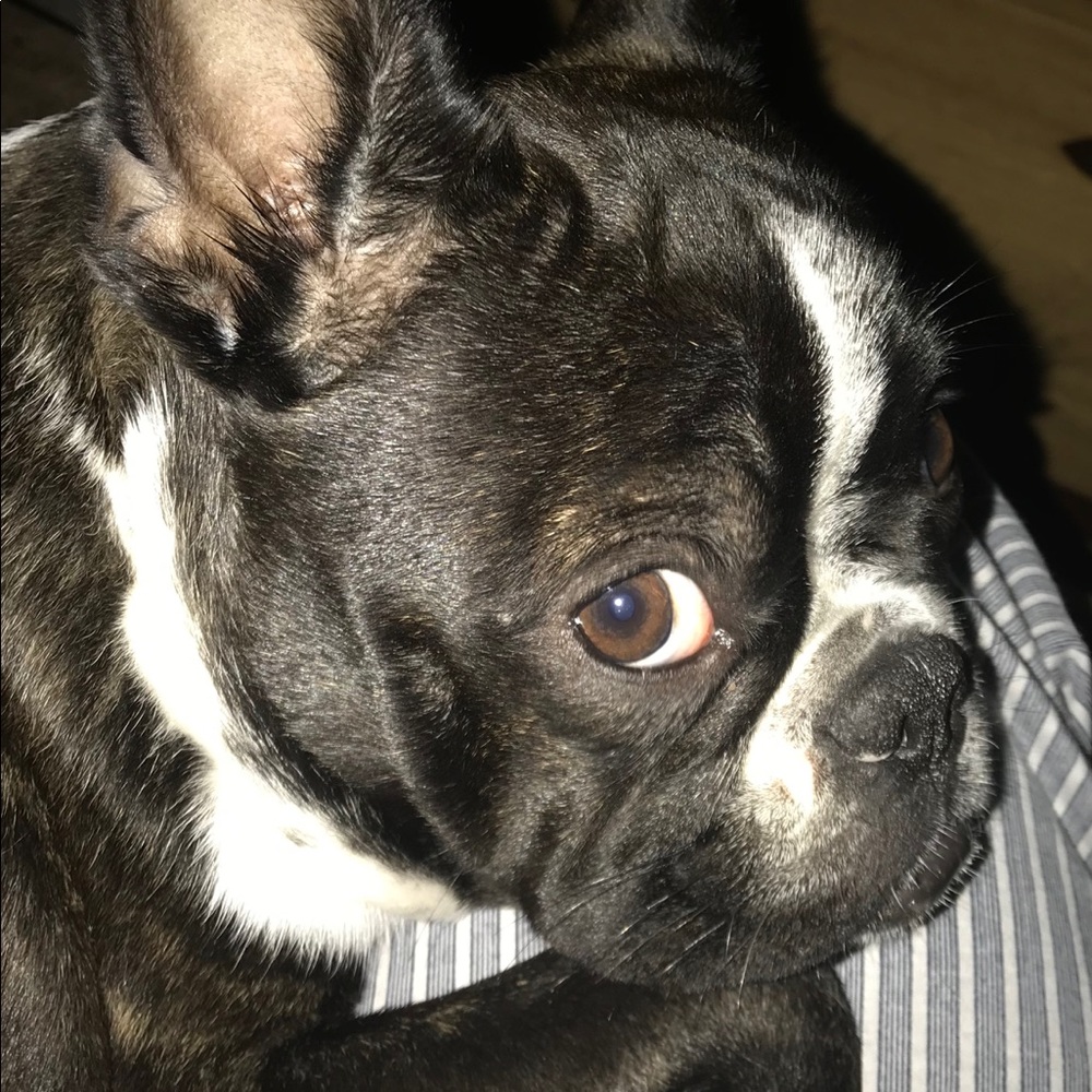 Meet your Posher, Beverly